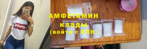индика Арсеньев