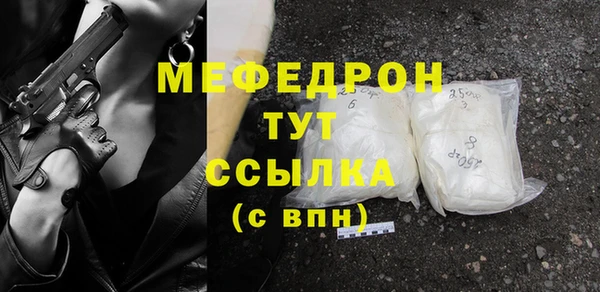 индика Арсеньев
