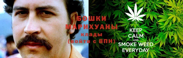 индика Арсеньев