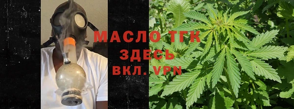 индика Арсеньев